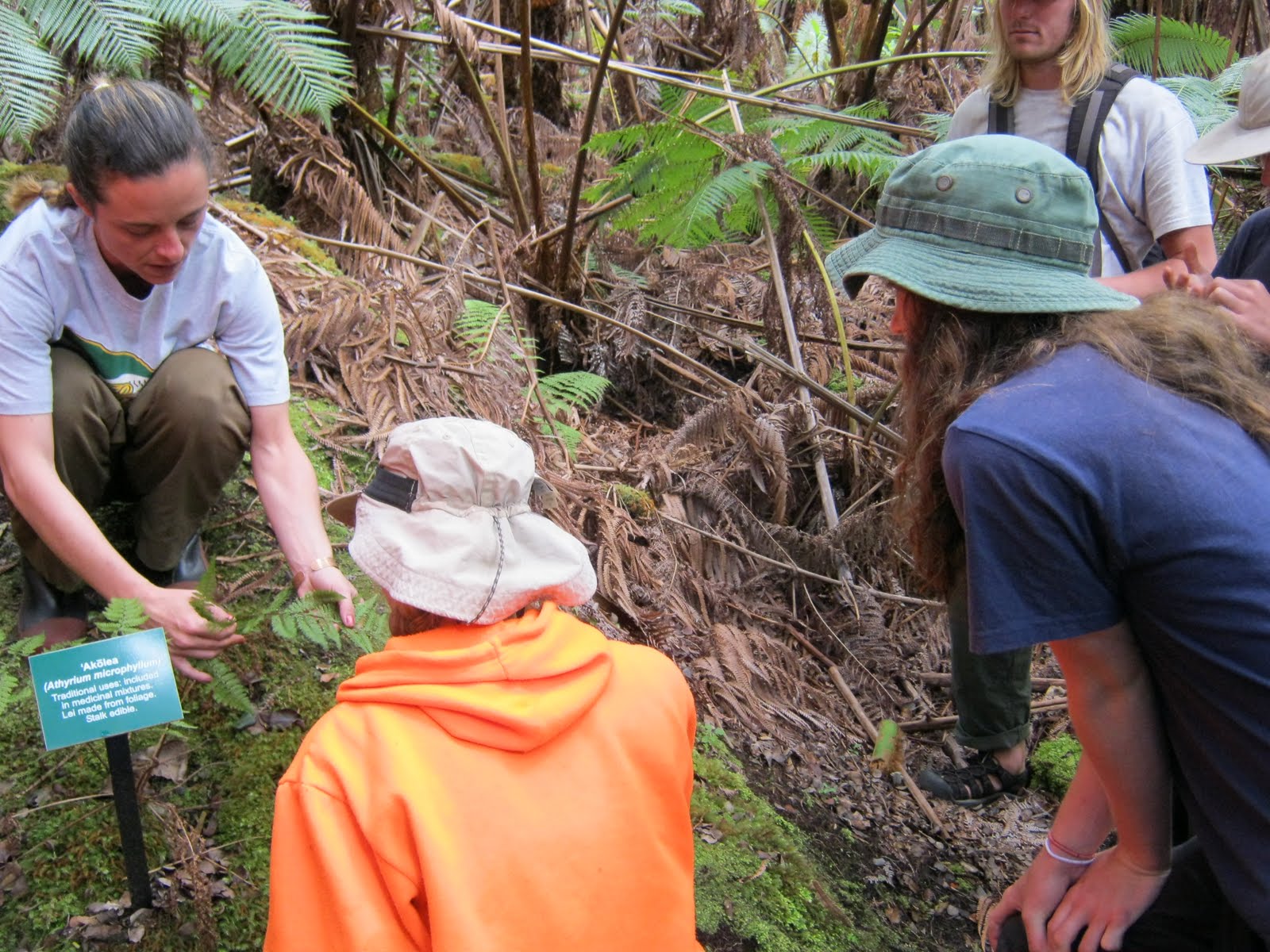 Ohana Visits the Volcano Art Center - Pacific Quest: Wilderness Therapy for Teens & Young Adults