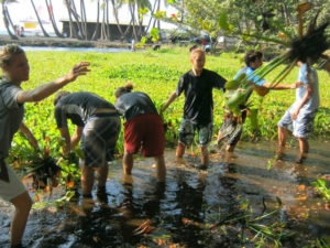 Pacific Quest community service pond clean up at Punalu'u